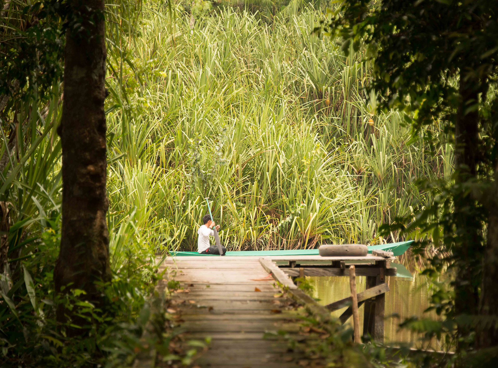 Local Boat on Sekonyer River, Tanjung Puting National Park, Kali Local Boat near Sekonyer Village on the Sekonyer River, Tanjung Puting National Park, Kalimantan, Indonesia